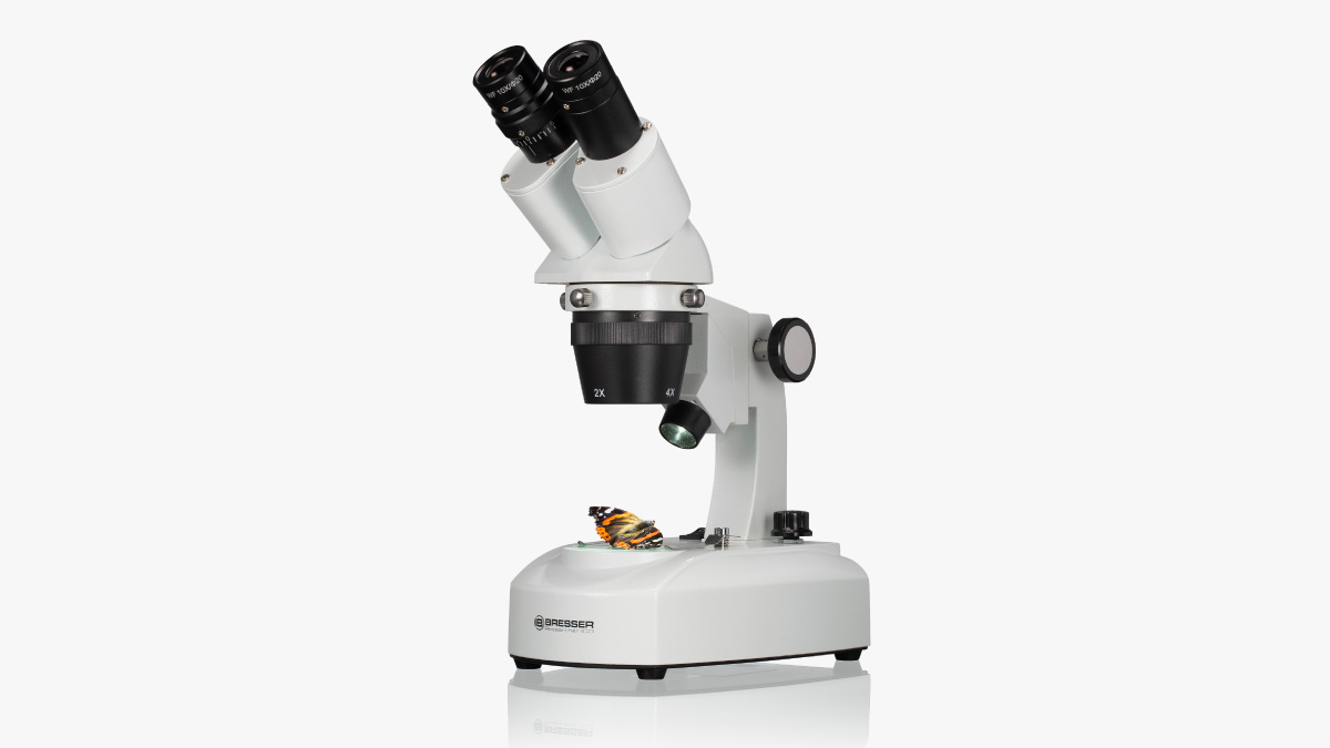 Microscopes et loupes en SVT