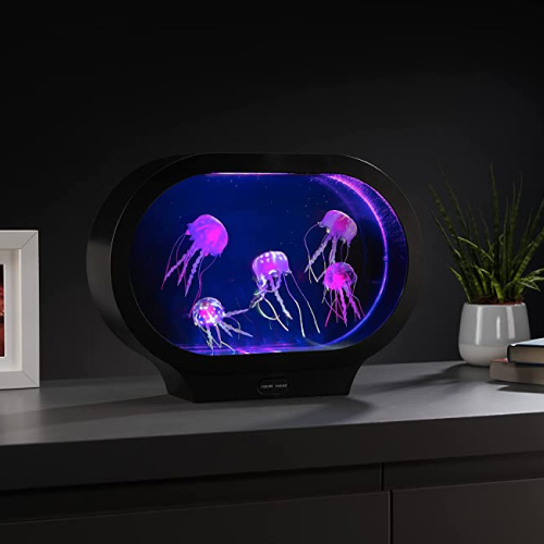 aquarium à méduse