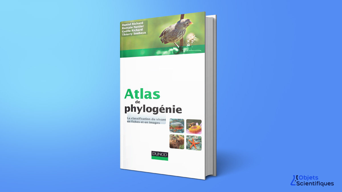 Atlas de phylogénie
