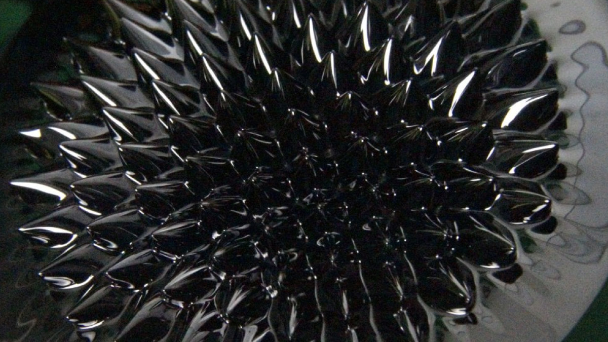 Ferrofluide dans une boite de pétri