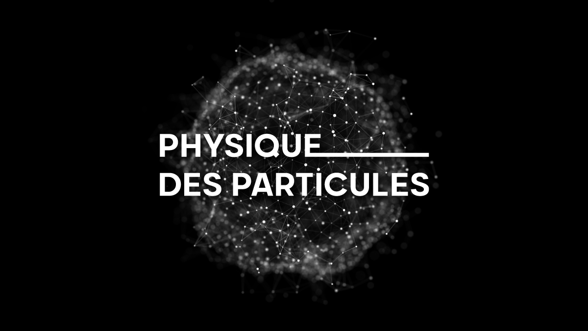 Physique des Particules