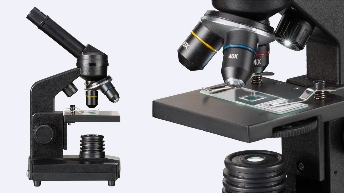 National Geographic Microscope pour enfant