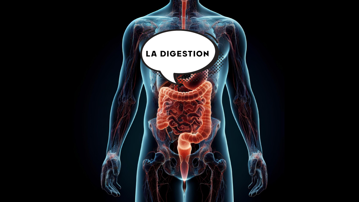 La digestion