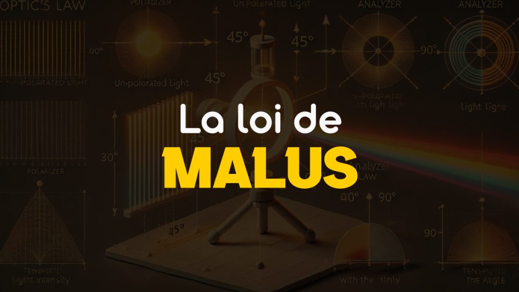 Loi de Malus