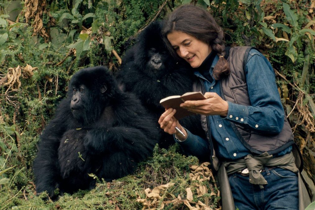 Dian Fossey
